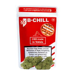B-Chill Tropical Diamond CBD Indoor Fleurs 3.5g