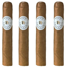 The Griffin's Short Robusto Zigarre 4er Pack