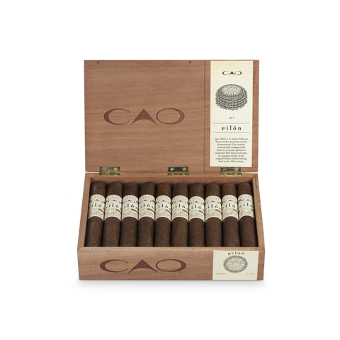 CAO Pilón Robusto Extra Zigarre
