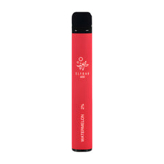 ELFBAR 600 Pastèque