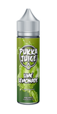 Pukka Juice Lime Lemonade 50ml